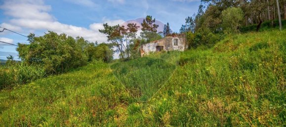 1 bedroom House in Maiorga, Portugal No. 35672 5