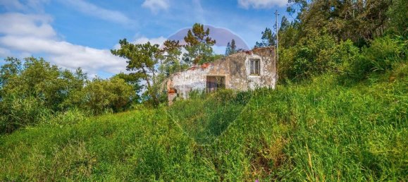 1 bedroom House in Maiorga, Portugal No. 35672 6