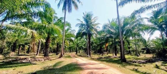 Terreno en Prachuap Khiri Khan, Thailand No. 20502 5