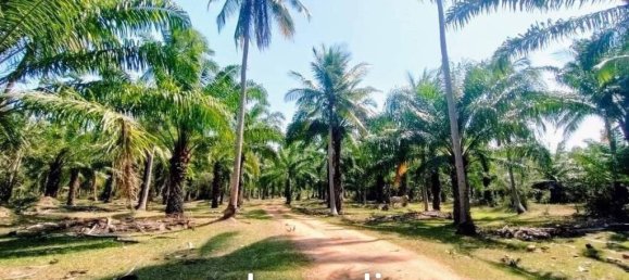 Gewerbliche Immobilie in Prachuap Khiri Khan, Thailand, Nr. 20502 7