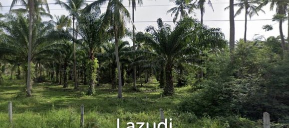 Gewerbliche Immobilie in Prachuap Khiri Khan, Thailand, Nr. 20502 6