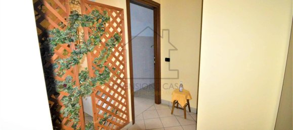 1 room Commercial property in Carpi, Italy No. 329225 5