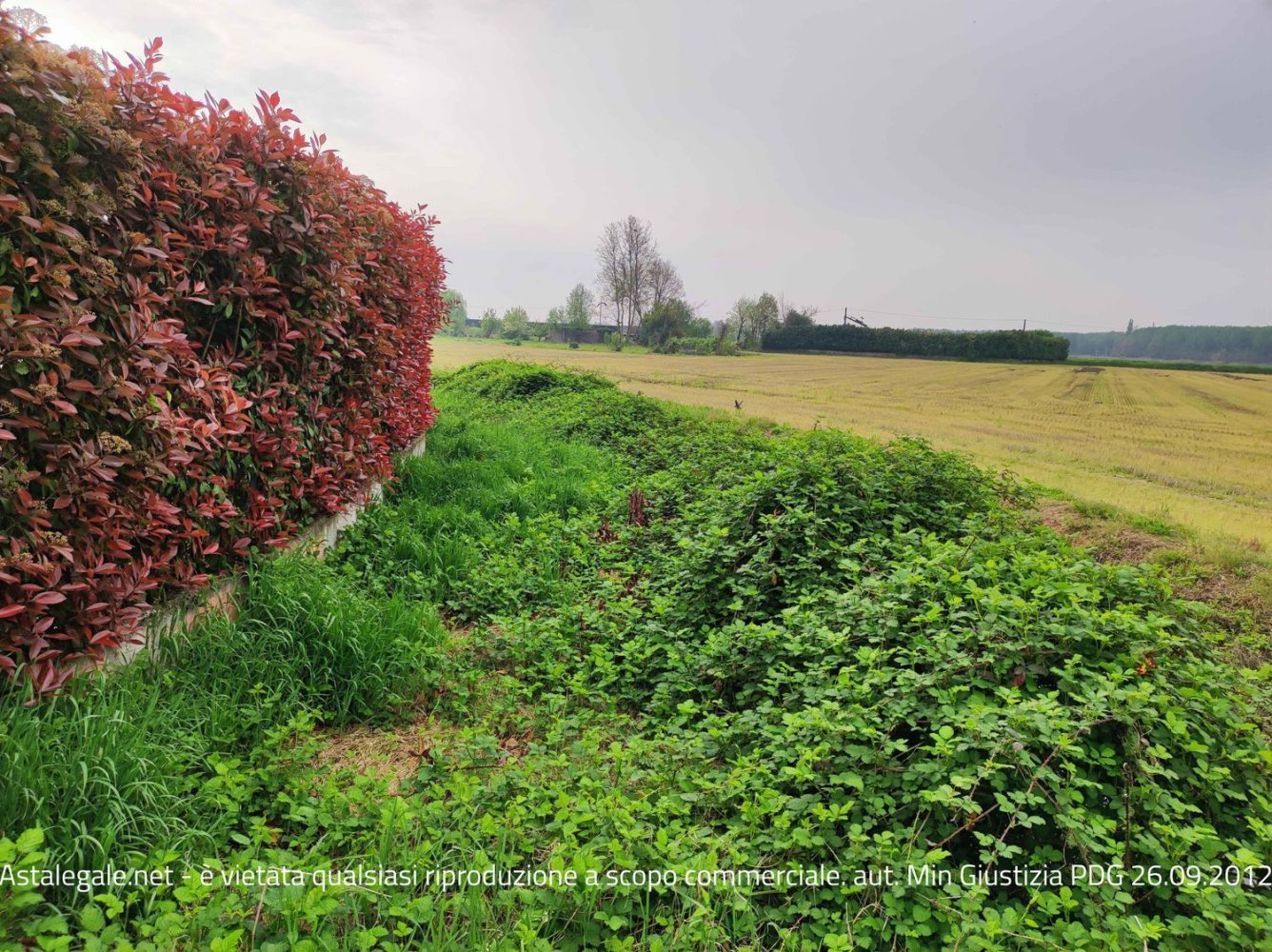 Земельный участок 100м² в Веллеццо Беллини, Италия № 392009