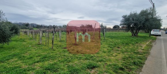 5010m² Land in San Cesareo, Italy No. 148862 16