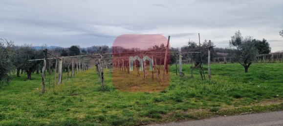 5010m² Land in San Cesareo, Italy No. 148862 4