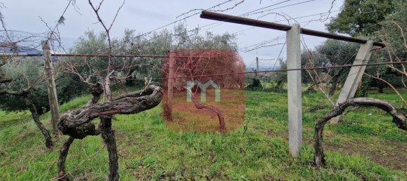 5010m² Land in San Cesareo, Italy No. 148862 6