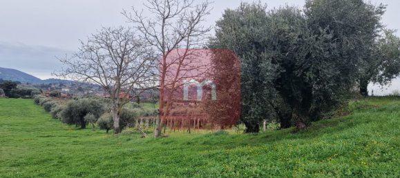 5010m² Land in San Cesareo, Italy No. 148862 14