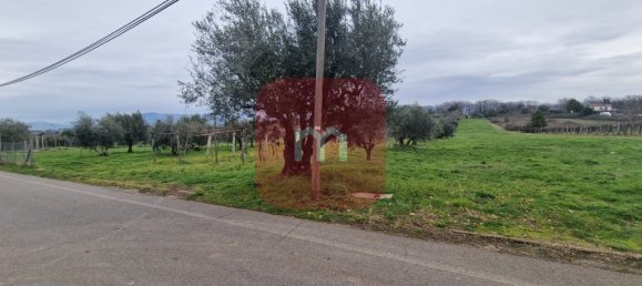 5010m² Land in San Cesareo, Italy No. 148862 8
