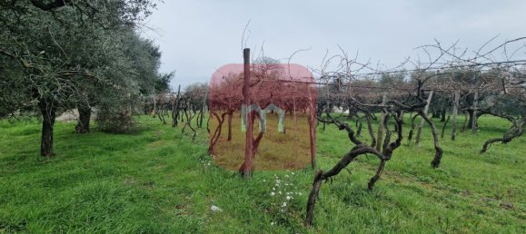 5010m² Land in San Cesareo, Italy No. 148862 12