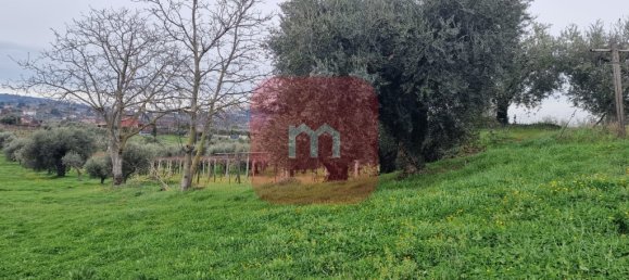 5010m² Land in San Cesareo, Italy No. 148862 13