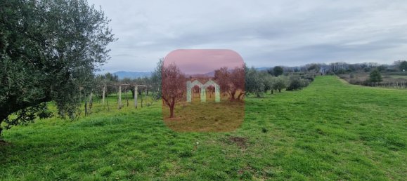 5010m² Land in San Cesareo, Italy No. 148862 2