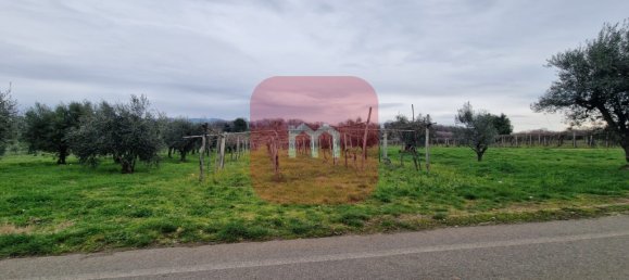 5010m² Land in San Cesareo, Italy No. 148862 10