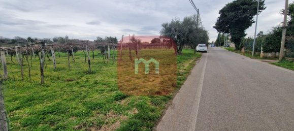5010m² Land in San Cesareo, Italy No. 148862 5