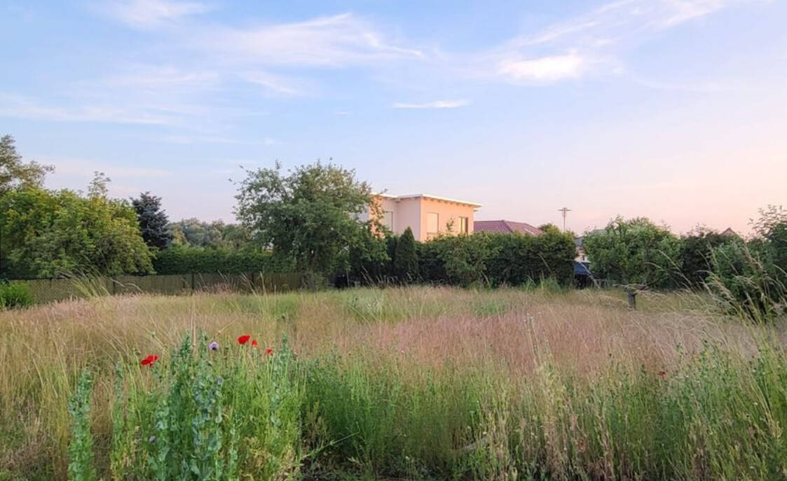 Grundstück in Nordwestmecklenburg, Germany, Nr. 265391