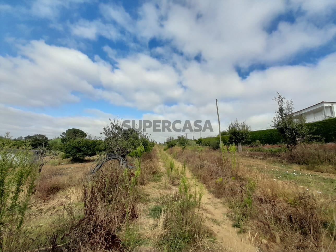 Земельный участок в Бомбаррал, Португалия № 308519