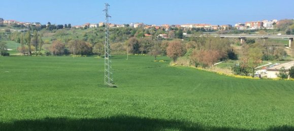 75000m² Land in Ancona, Italy No. 253905 3