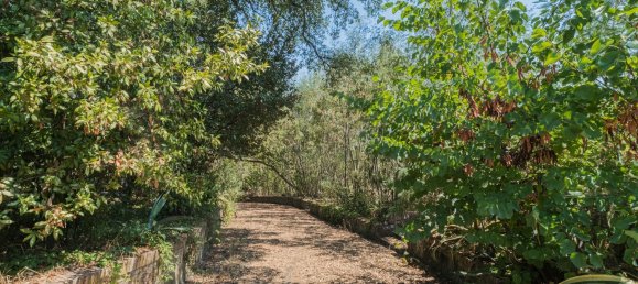 8-salle Villa à Rome, Italy No. 204815 7