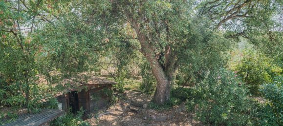 8-salle Villa à Rome, Italy No. 204815 32