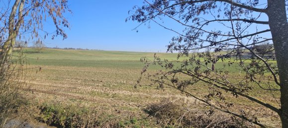 Moradia em banda de 4 divisões em Heilbronn, Germany N.º 1960 12