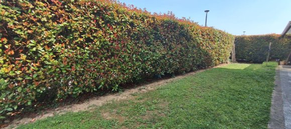 6 rooms House in Campodoro, Italy No. 283931 3