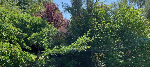 4 bedrooms House in Kienheim, France No. 89927 17