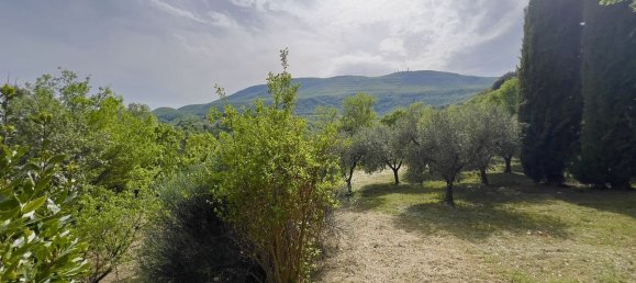 3-Zimmer Haus in Cetona, Italy, Nr. 58051 36