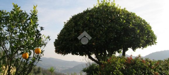 8-Zimmer Villa in San Colombano Certenoli, Italy, Nr. 64234 29