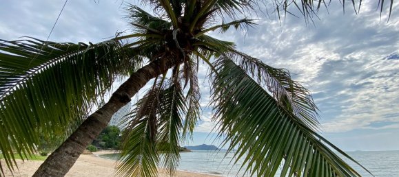 3 bedrooms Condo in Sattahip, Thailand No. 12046 10