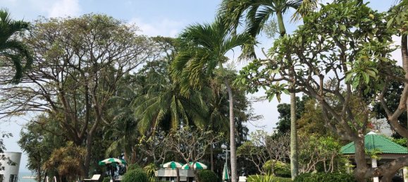 3 bedrooms Condo in Sattahip, Thailand No. 12046 20