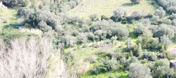 Terreno en Olbia, Italy 25000 m² No. 87504 17