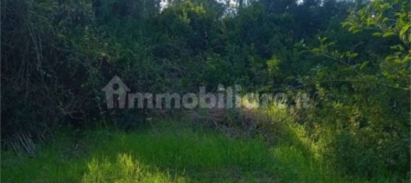 Terreno en Olbia, Italy 25000 m² No. 87504 20