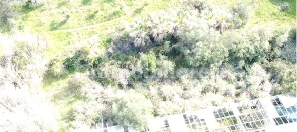 Terreno en Olbia, Italy 25000 m² No. 87504 5