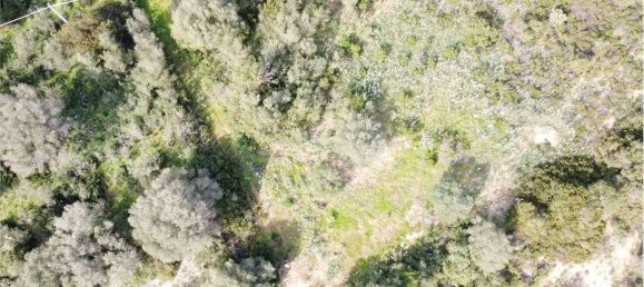 Terreno en Olbia, Italy 25000 m² No. 87504 22