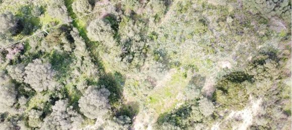 Terreno en Olbia, Italy 25000 m² No. 87504 23