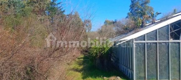 Terreno en Olbia, Italy 25000 m² No. 87504 6