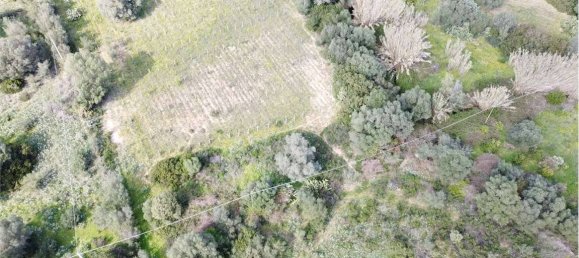 Terreno en Olbia, Italy 25000 m² No. 87504 24