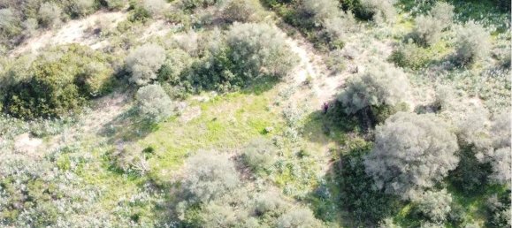 Terreno en Olbia, Italy 25000 m² No. 87504 42