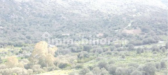 Terreno en Olbia, Italy 25000 m² No. 87504 44