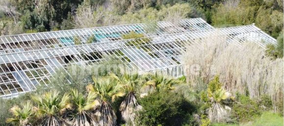 Terreno en Olbia, Italy 25000 m² No. 87504 46