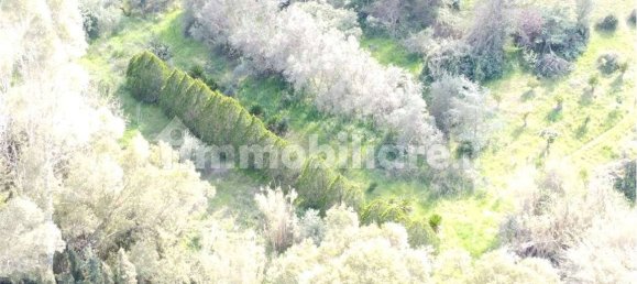 Terreno en Olbia, Italy 25000 m² No. 87504 13