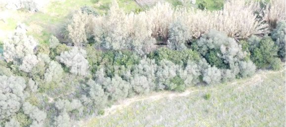 Terreno en Olbia, Italy 25000 m² No. 87504 37