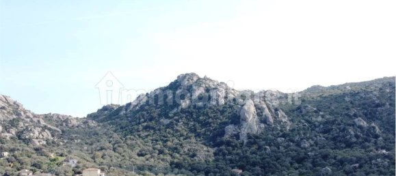 Terreno en Olbia, Italy 25000 m² No. 87504 43