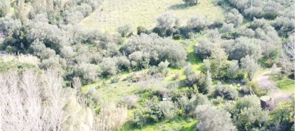 Terreno en Olbia, Italy 25000 m² No. 87504 16