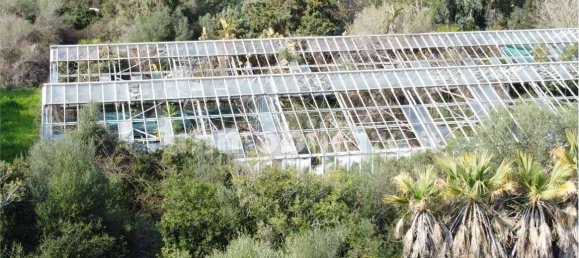 Terreno en Olbia, Italy 25000 m² No. 87504 2