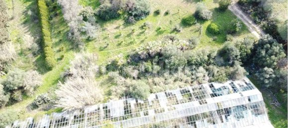 Terreno en Olbia, Italy 25000 m² No. 87504 19