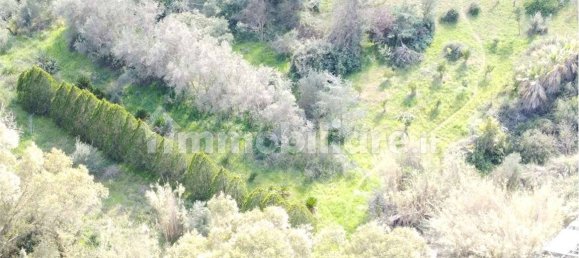 Terreno en Olbia, Italy 25000 m² No. 87504 4