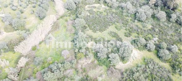 Terreno en Olbia, Italy 25000 m² No. 87504 25