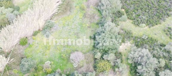 Terreno en Olbia, Italy 25000 m² No. 87504 26
