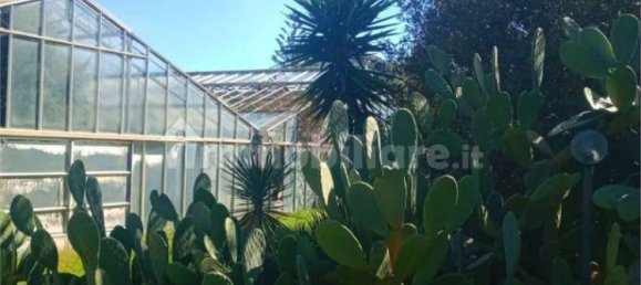 Terreno en Olbia, Italy 25000 m² No. 87504 7