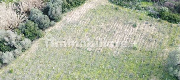 Terreno en Olbia, Italy 25000 m² No. 87504 38